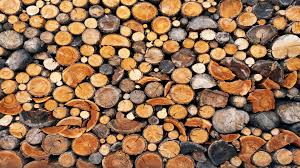 خريد و فروش چوب جنگلي در خواب ، علامت آن است كه با قاطعيت و پشتكار ثروتي گرد مي آوريد