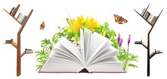 خواب کتاب فروشی و تعبیر دیدن