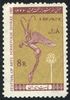 1346_fest_of_arts_persepolis.jpg