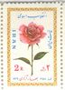 1358_norouz.jpg