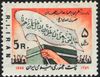 1359_mehdi_birthday.jpg